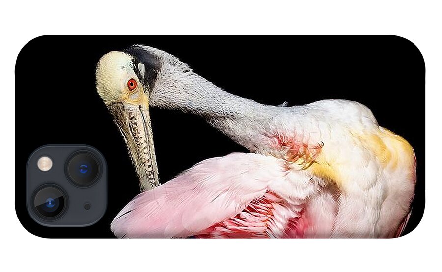 Preen - Phone Case