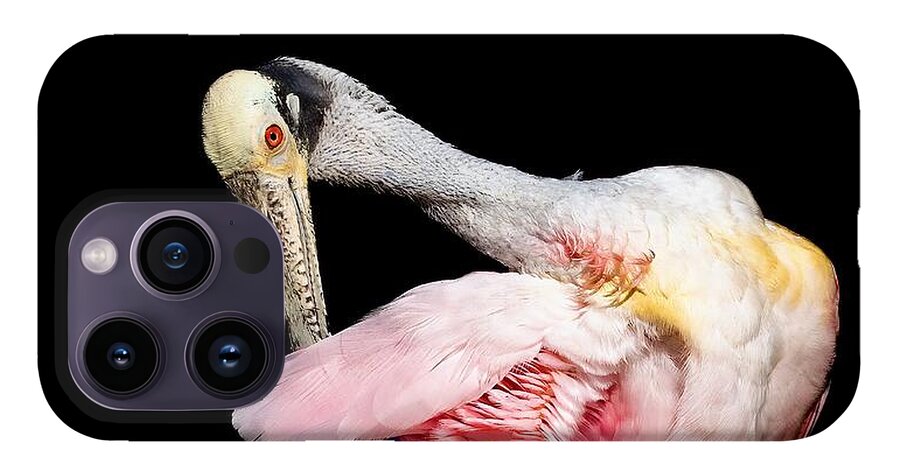 Preen - Phone Case