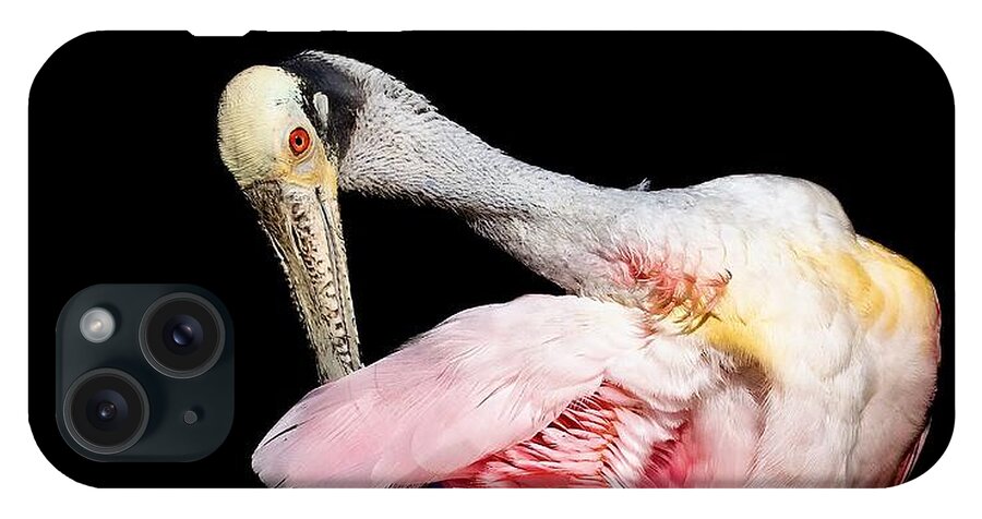 Preen - Phone Case