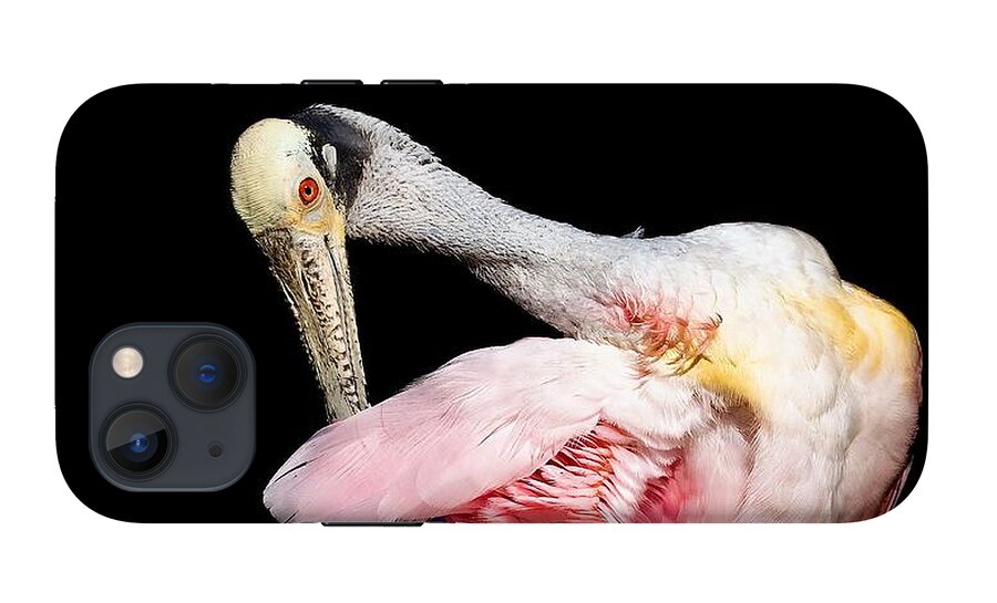Preen - Phone Case