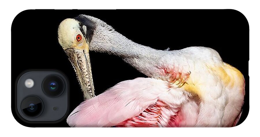 Preen - Phone Case