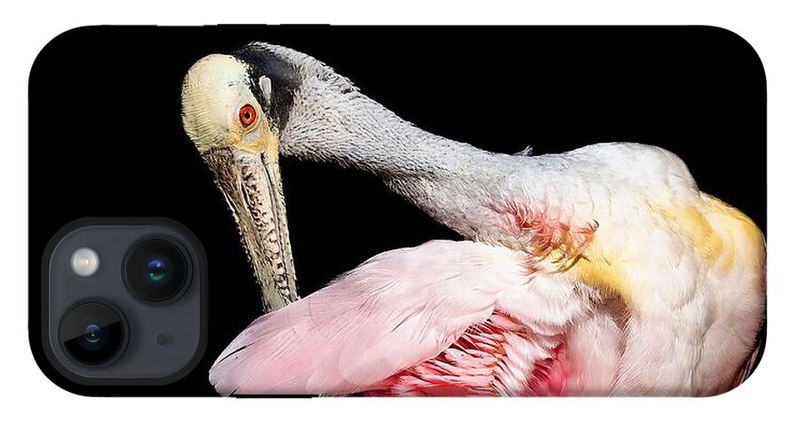 Preen - Phone Case