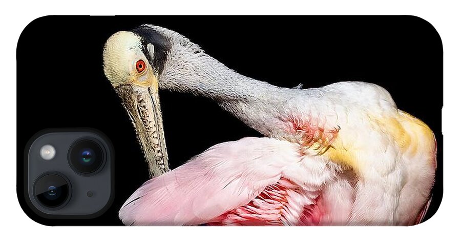 Preen - Phone Case