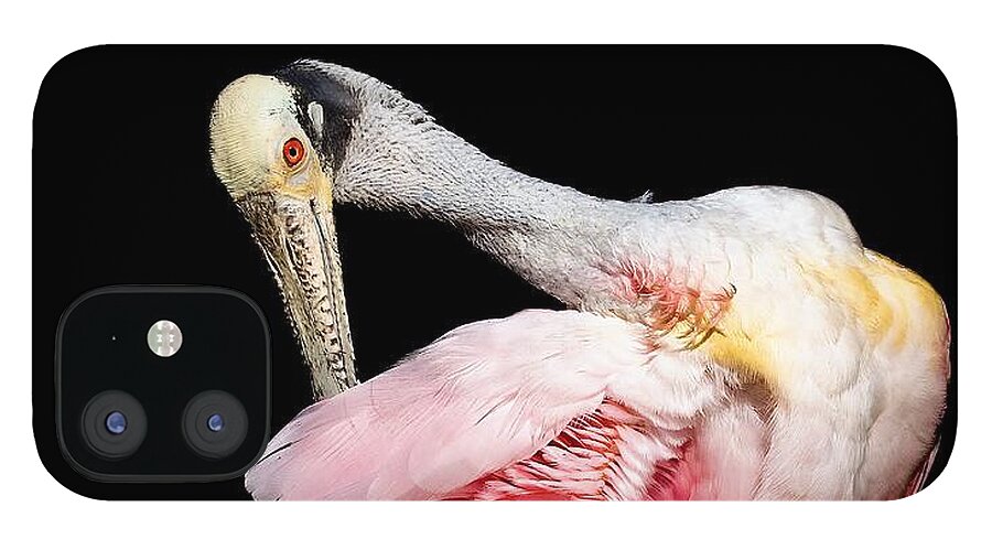Preen - Phone Case