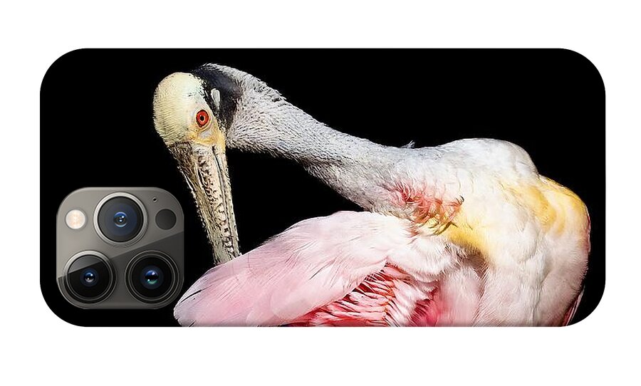 Preen - Phone Case