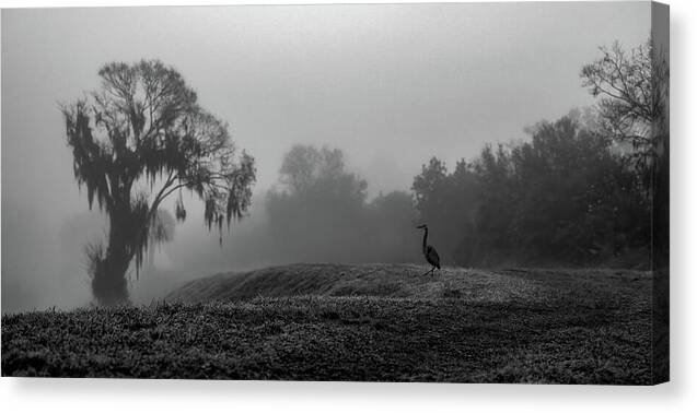 Quiet Hour - Canvas Print