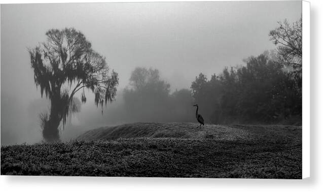 Quiet Hour - Canvas Print