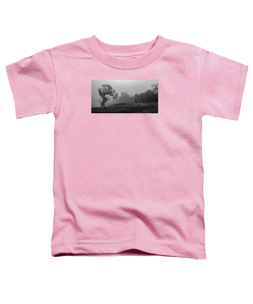 Quiet Hour - Toddler T-Shirt