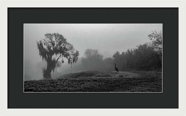 Quiet Hour - Framed Print