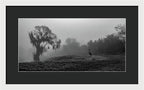 Quiet Hour - Framed Print