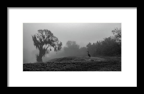 Quiet Hour - Framed Print