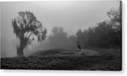 Quiet Hour - Acrylic Print