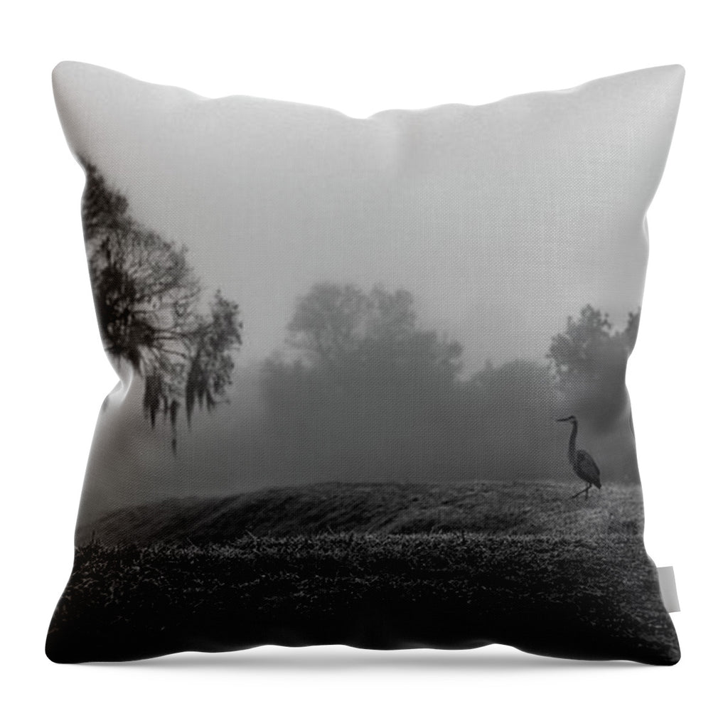Quiet Hour - Throw Pillow