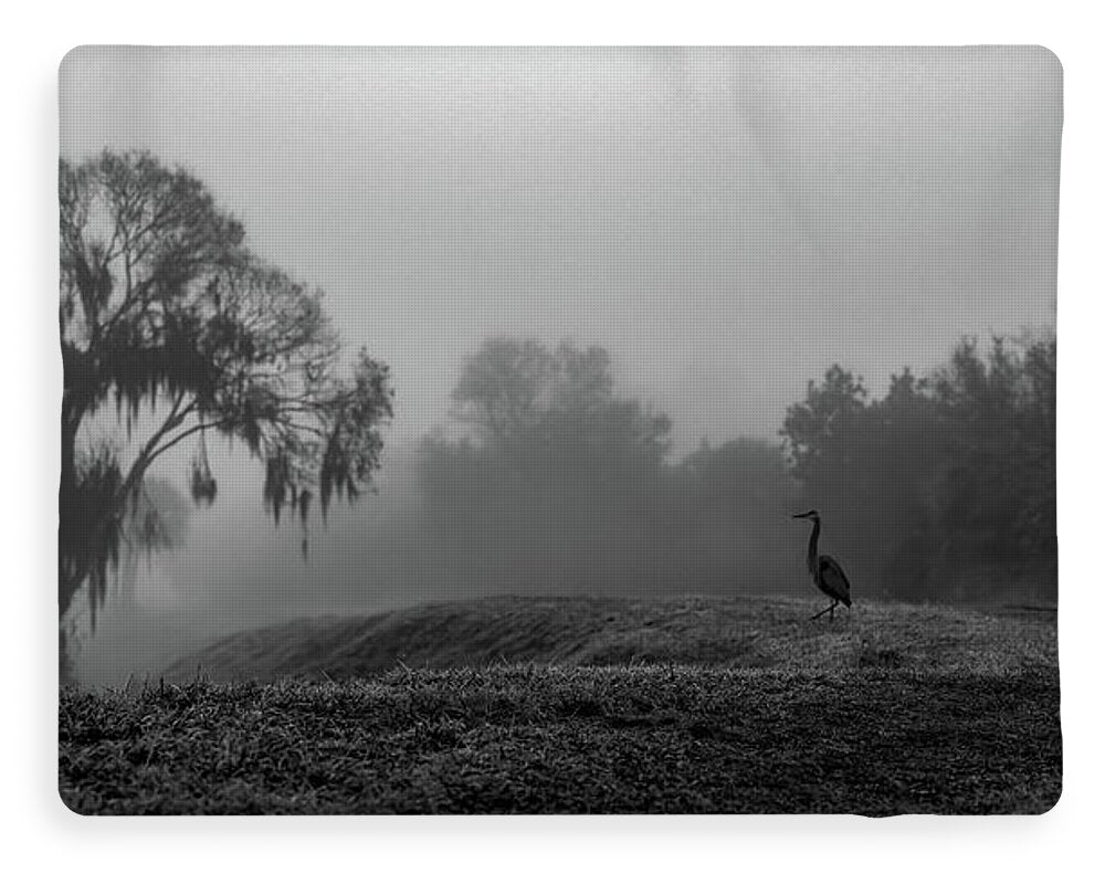 Quiet Hour - Blanket