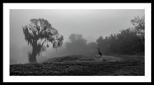 Quiet Hour - Framed Print