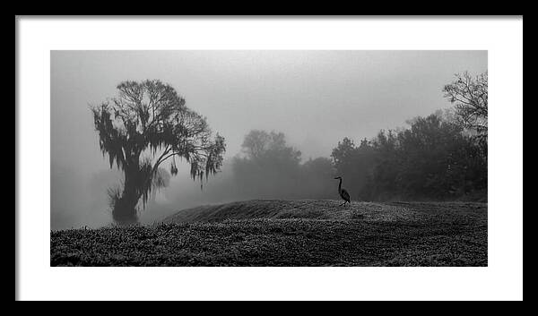 Quiet Hour - Framed Print