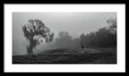 Quiet Hour - Framed Print