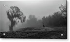 Quiet Hour - Acrylic Print