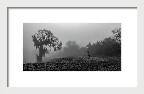 Quiet Hour - Framed Print