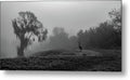 Quiet Hour - Metal Print