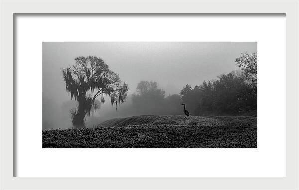 Quiet Hour - Framed Print