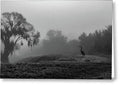 Quiet Hour - Greeting Card