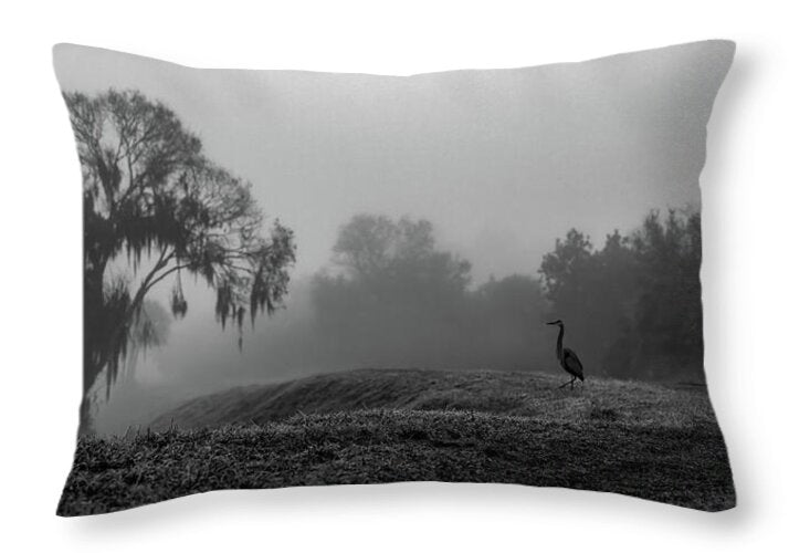 Quiet Hour - Throw Pillow