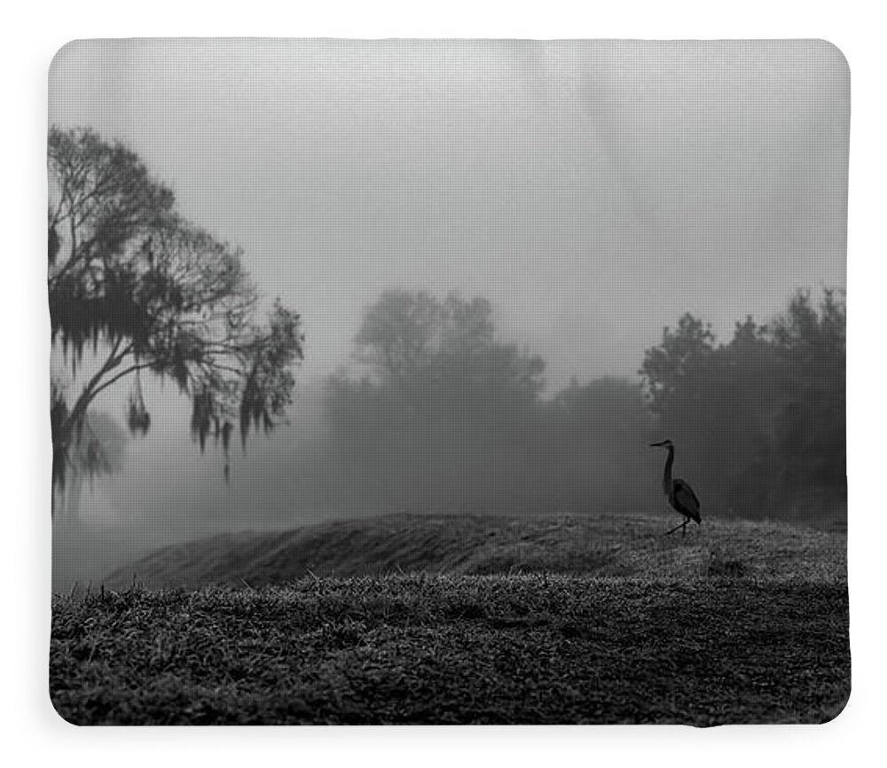 Quiet Hour - Blanket