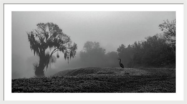 Quiet Hour - Framed Print