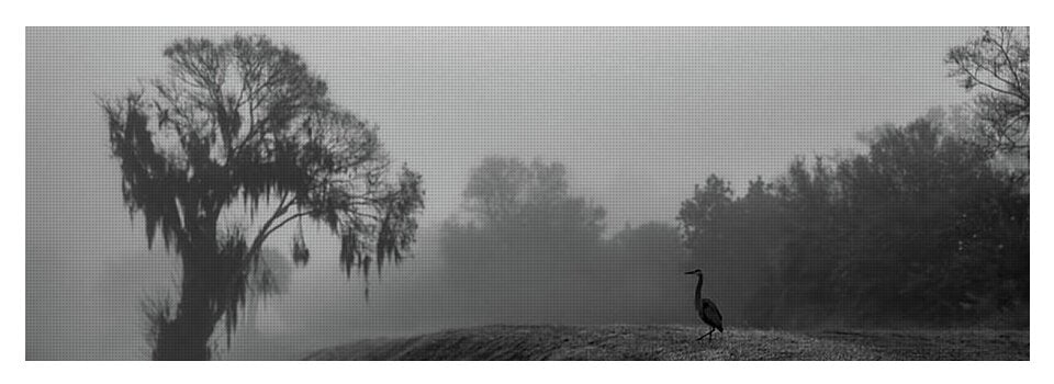 Quiet Hour - Yoga Mat