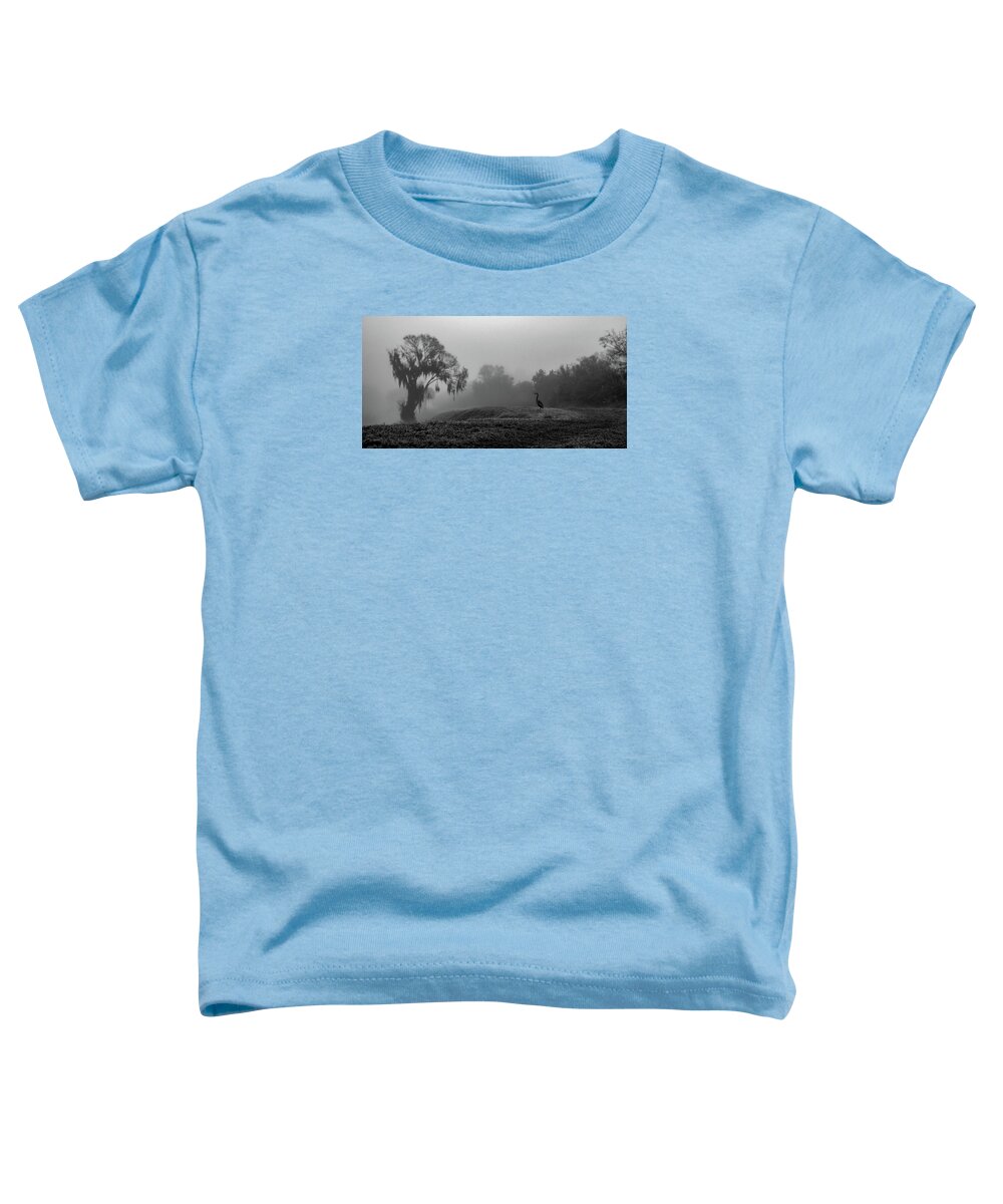 Quiet Hour - Toddler T-Shirt