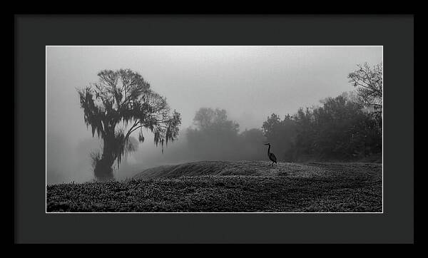 Quiet Hour - Framed Print
