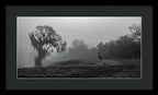 Quiet Hour - Framed Print