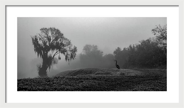 Quiet Hour - Framed Print