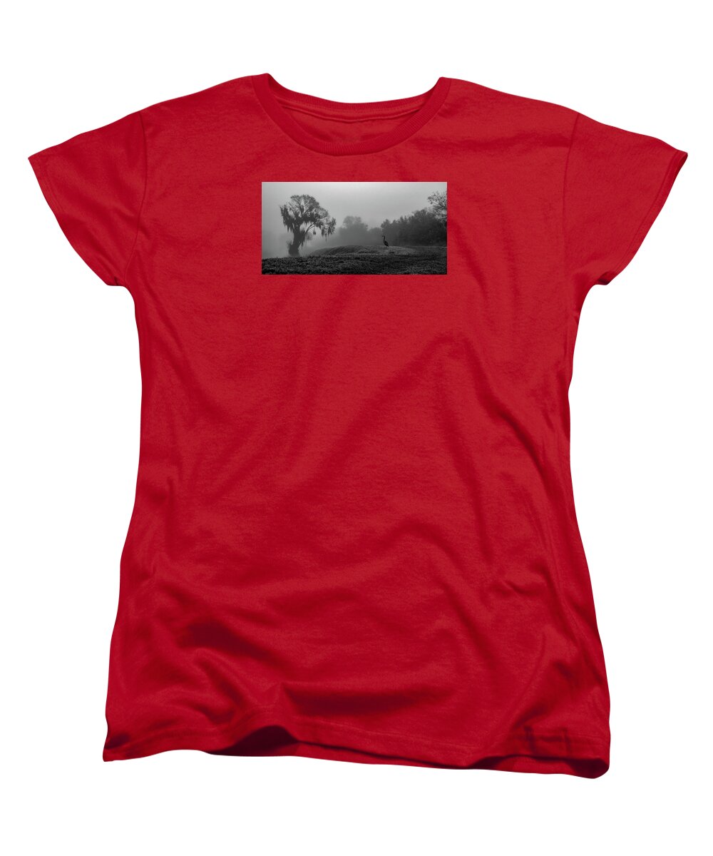Quiet Hour - Women's T-Shirt (Standard Fit)