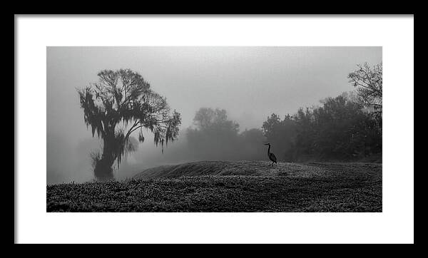 Quiet Hour - Framed Print