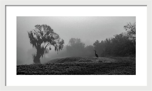 Quiet Hour - Framed Print