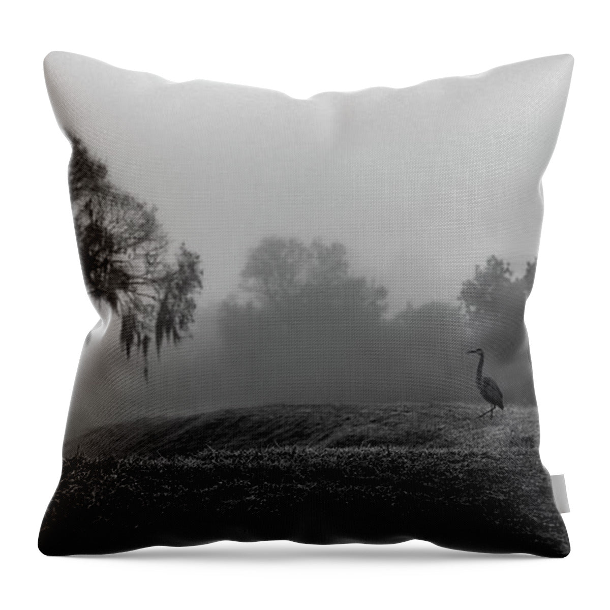 Quiet Hour - Throw Pillow