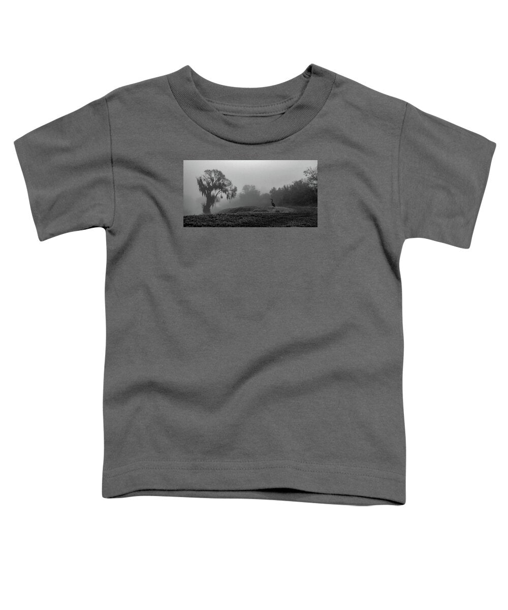 Quiet Hour - Toddler T-Shirt