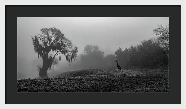 Quiet Hour - Framed Print