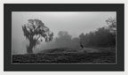 Quiet Hour - Framed Print