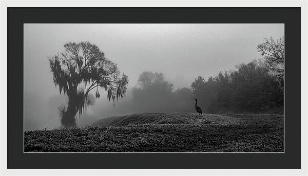 Quiet Hour - Framed Print