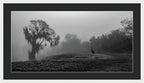 Quiet Hour - Framed Print