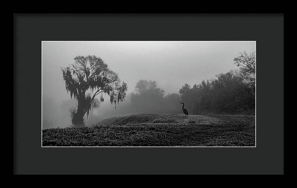 Quiet Hour - Framed Print