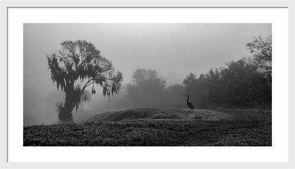 Quiet Hour - Framed Print