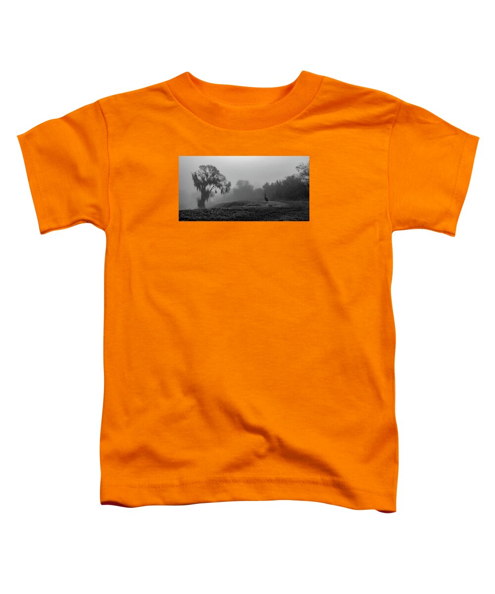 Quiet Hour - Toddler T-Shirt