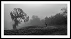 Quiet Hour - Framed Print