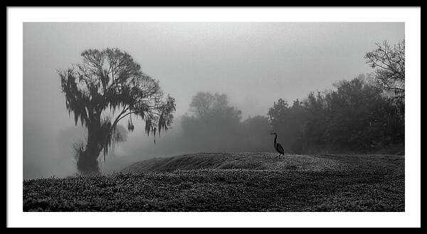 Quiet Hour - Framed Print