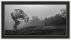 Quiet Hour - Framed Print