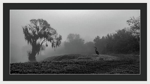 Quiet Hour - Framed Print